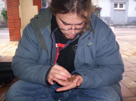 Ce que je suis devenu